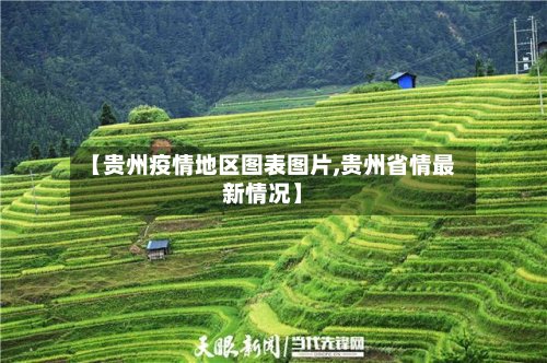 【贵州疫情地区图表图片,贵州省情最新情况】