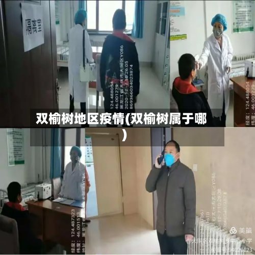 双榆树地区疫情(双榆树属于哪)