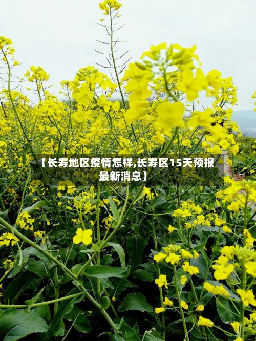 【长寿地区疫情怎样,长寿区15天预报最新消息】-第2张图片