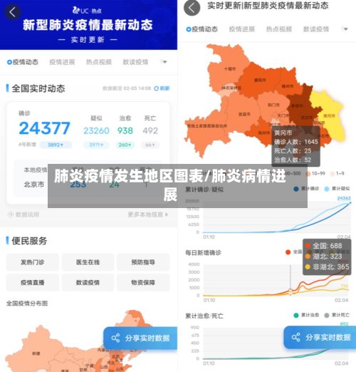肺炎疫情发生地区图表/肺炎病情进展-第2张图片