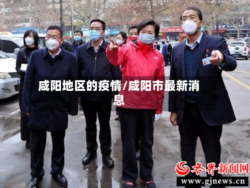 咸阳地区的疫情/咸阳市最新消息-第3张图片