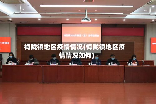 梅陇镇地区疫情情况(梅陇镇地区疫情情况如何)-第2张图片