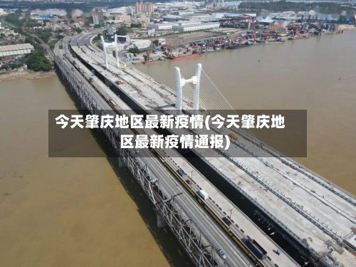 今天肇庆地区最新疫情(今天肇庆地区最新疫情通报)-第3张图片
