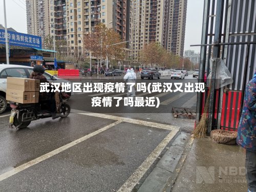 武汉地区出现疫情了吗(武汉又出现疫情了吗最近)-第2张图片
