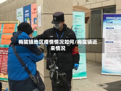 梅陇镇地区疫情情况如何/梅陇镇近来情况-第3张图片
