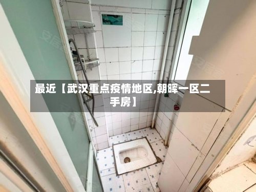 最近【武汉重点疫情地区,朝晖一区二手房】