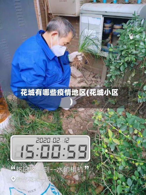 花城有哪些疫情地区(花城小区)-第3张图片