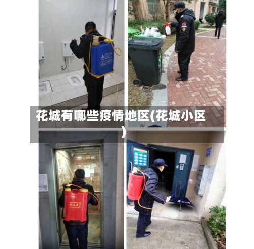 花城有哪些疫情地区(花城小区)-第2张图片