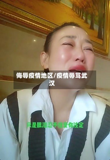 侮辱疫情地区/疫情辱骂武汉-第2张图片