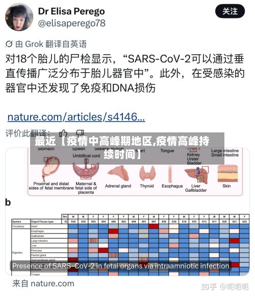 最近【疫情中高峰期地区,疫情高峰持续时间】-第2张图片