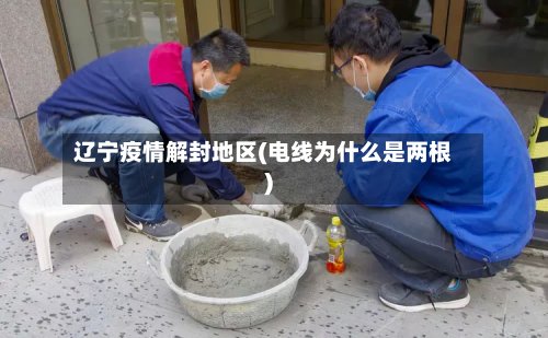 辽宁疫情解封地区(电线为什么是两根)