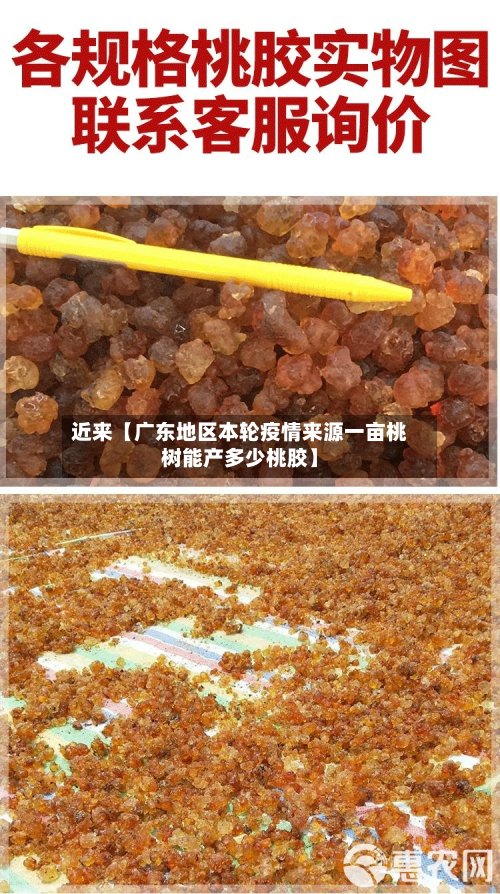近来【广东地区本轮疫情来源一亩桃树能产多少桃胶】-第3张图片