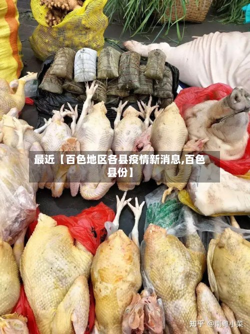 最近【百色地区各县疫情新消息,百色县份】-第2张图片