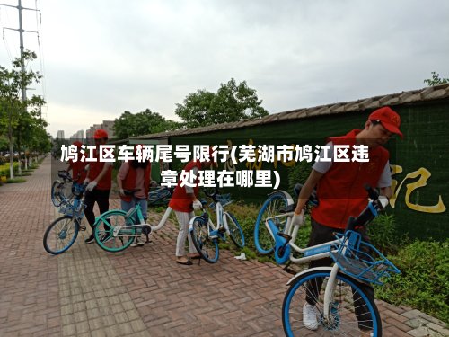 鸠江区车辆尾号限行(芜湖市鸠江区违章处理在哪里)