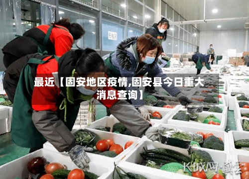 最近【固安地区疫情,固安县今日重大消息查询】-第2张图片