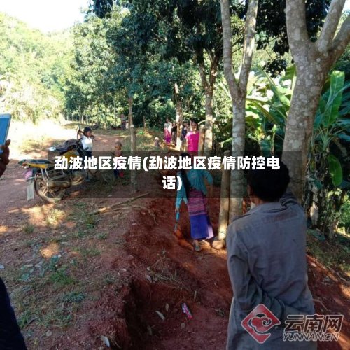 勐波地区疫情(勐波地区疫情防控电话)