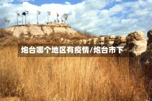 炮台哪个地区有疫情/炮台市下
