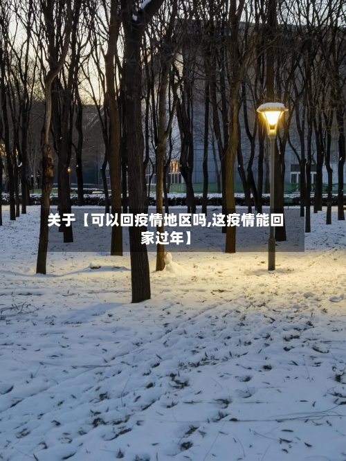关于【可以回疫情地区吗,这疫情能回家过年】-第2张图片