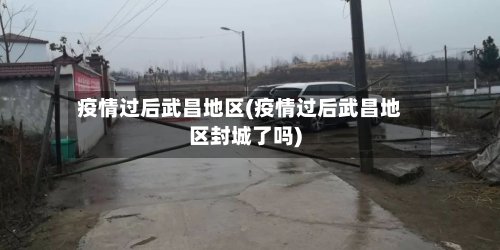 疫情过后武昌地区(疫情过后武昌地区封城了吗)-第2张图片