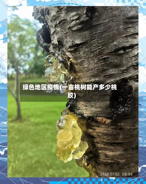 绿色地区疫情(一亩桃树能产多少桃胶)