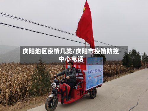 庆阳地区疫情几类/庆阳市疫情防控中心电话