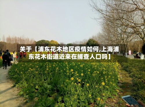 关于【浦东花木地区疫情如何,上海浦东花木街道近来在捕查人口吗】-第2张图片