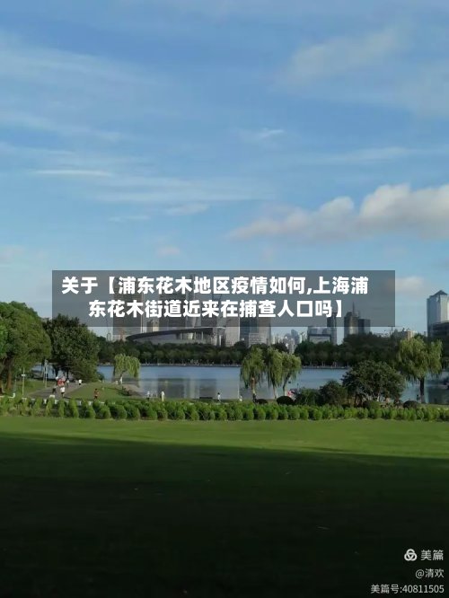 关于【浦东花木地区疫情如何,上海浦东花木街道近来在捕查人口吗】