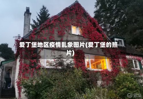 爱丁堡地区疫情乱象图片(爱丁堡的照片)-第3张图片