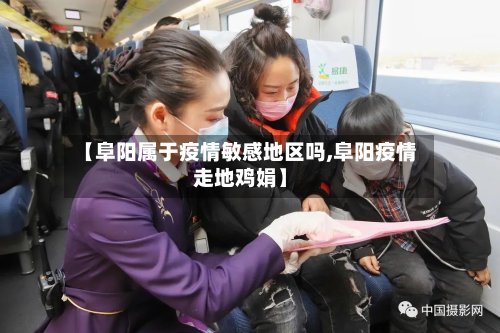 【阜阳属于疫情敏感地区吗,阜阳疫情走地鸡娟】-第2张图片