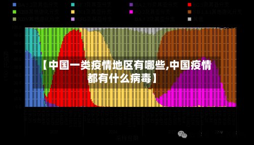 【中国一类疫情地区有哪些,中国疫情都有什么病毒】-第2张图片