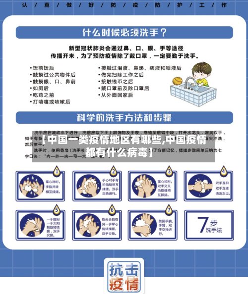 【中国一类疫情地区有哪些,中国疫情都有什么病毒】-第3张图片