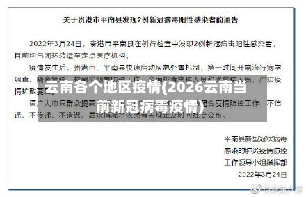 云南各个地区疫情(2026云南当前新冠病毒疫情)-第2张图片