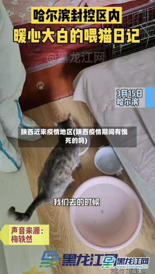 陕西近来疫情地区(陕西疫情期间有饿死的吗)-第2张图片
