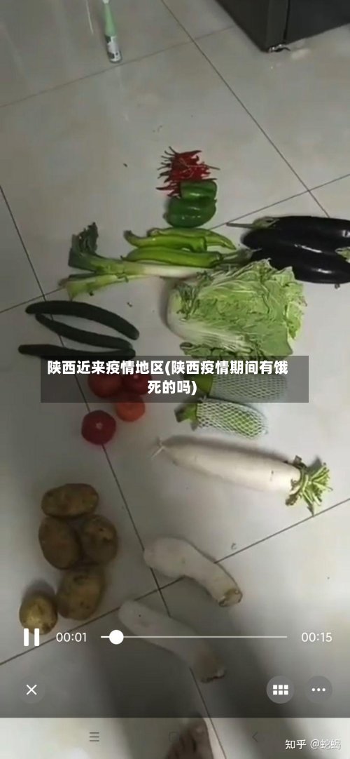 陕西近来疫情地区(陕西疫情期间有饿死的吗)-第3张图片