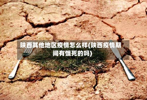 陕西其他地区疫情怎么样(陕西疫情期间有饿死的吗)-第2张图片