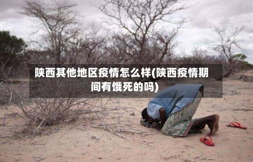 陕西其他地区疫情怎么样(陕西疫情期间有饿死的吗)-第3张图片