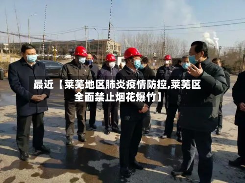 最近【莱芜地区肺炎疫情防控,莱芜区全面禁止烟花爆竹】-第2张图片