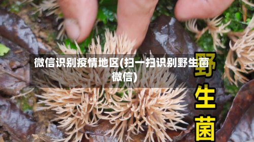 微信识别疫情地区(扫一扫识别野生菌微信)