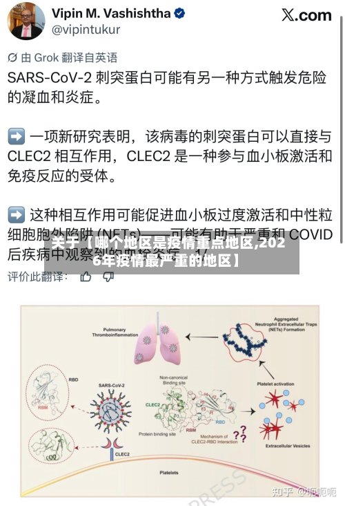 关于【哪个地区是疫情重点地区,2026年疫情最严重的地区】
