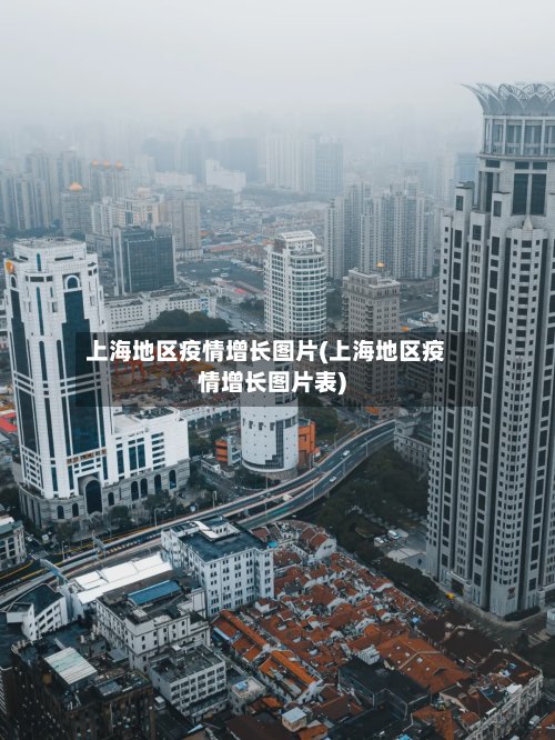 上海地区疫情增长图片(上海地区疫情增长图片表)-第3张图片