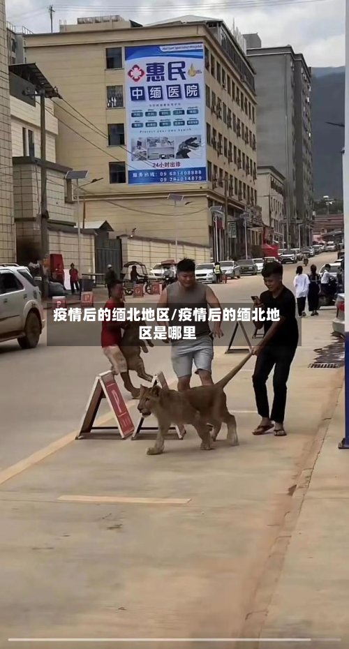 疫情后的缅北地区/疫情后的缅北地区是哪里