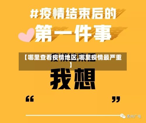 【哪里查看疫情地区,哪里疫情最严重】-第2张图片