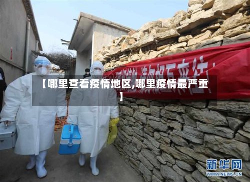 【哪里查看疫情地区,哪里疫情最严重】-第3张图片