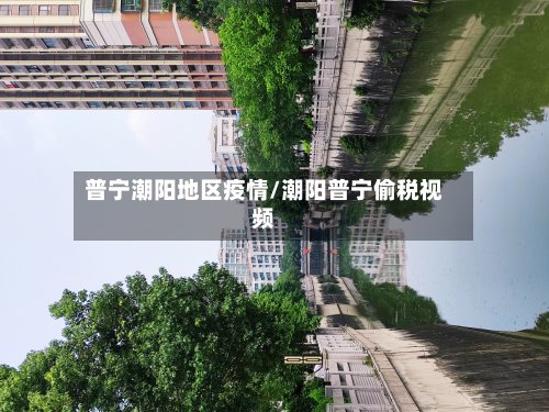 普宁潮阳地区疫情/潮阳普宁偷税视频