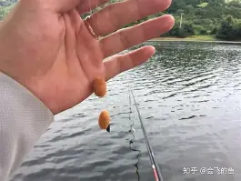 开挂技巧“水鱼天下金州水鱼辅助”(免费)开挂辅助教学(最新辅助开挂教程)